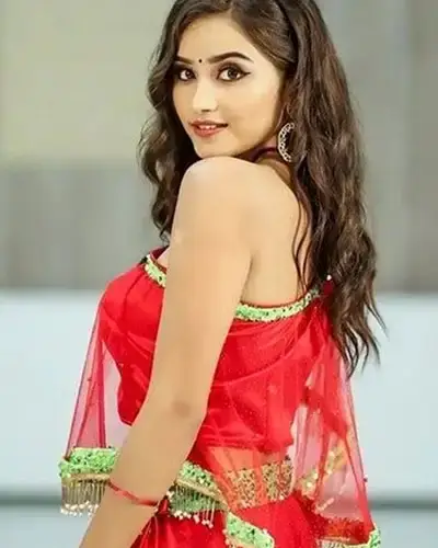 Call Girls Service Phagi